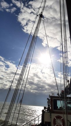 Konfi-Segel­flotte auf dem Ijssel­meer